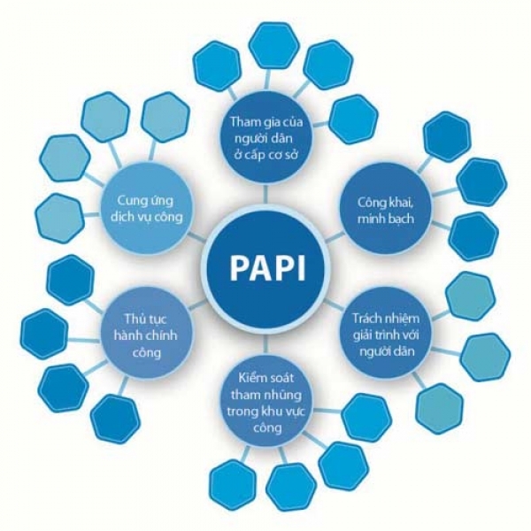 Văn bản chỉ đạo nâng cao chỉ số hiệu quả quản trị và hành chính công cấp tỉnh (PAPI) trên địa bàn xã Tống Phan